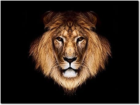 Contemporary Canvas Print Silence of Lion Head Black Backdrop Picture Animal Pattern for Wall Painting Home Artwork Living Room Bedroom Decoration