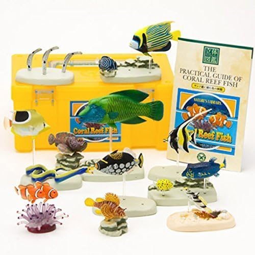 (Companion of fish that live in the coral reef) three-dimensional picture book Real Figure box Coral Reef Fish (japan import) by Karo Rosa Macerata figure