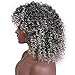 Afro Curly Hair Black Gray Wigs with Bangs Mixed Color Shoulder Length Hair Short Synthetic Kinky Curly Wigs for Black Women Shoulder Length Heat Resistant Fiber Wig
