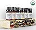 USDA Organic Essential Oils (Set of 6 10 ml) Natural Aromatherapy for Diffuser | Therapeutic Stress Relief & Relaxation Mothers Day Gift Set | Lavender Peppermint Tea Tree Lemon Orange Eucalyptus