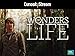 Wonders of Life Season 1