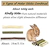 XIAO MO GU Bunny Chew Toys, 3 Types Rabbit Hamster Toys with Apple Wood Sticks Teeth Grinding Toy for Rabbits Bunny…