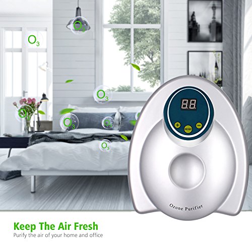 WSTA Ozone Generator Air Purifier 400mg/h Multipurpose Ozone Machine