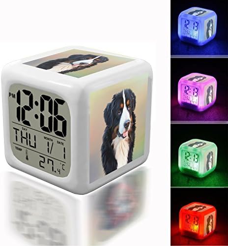 Digital Alarm Thermometer Night Glowing Cube 7 Colors Clock LED Customize the pattern 108.Dog, Bernese Mountain Dog, Berner