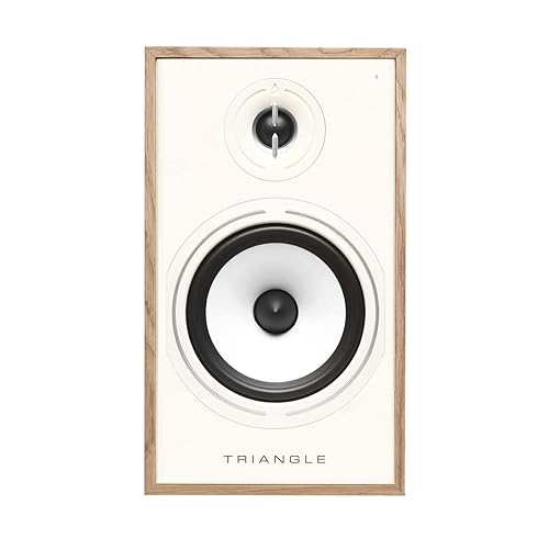 Triangle Borea Active BR03 BT Wireless Bluetooth Bookshelf Speaker