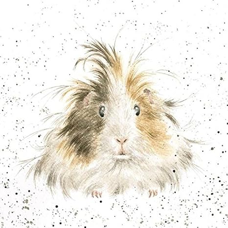 Birthday Card Style Queen Long Haired Guinea Pig Blank