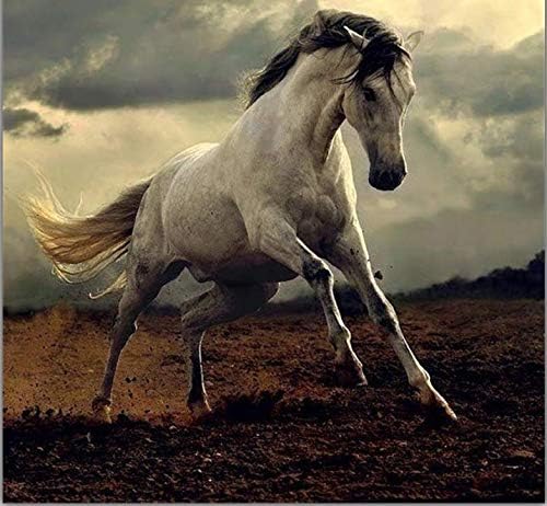Diamond Painting Cross Stitch Pictures by Numbers Full Mosaic Rhinestones Beaded Embroidery"Pentium of Horses" 40X50CM