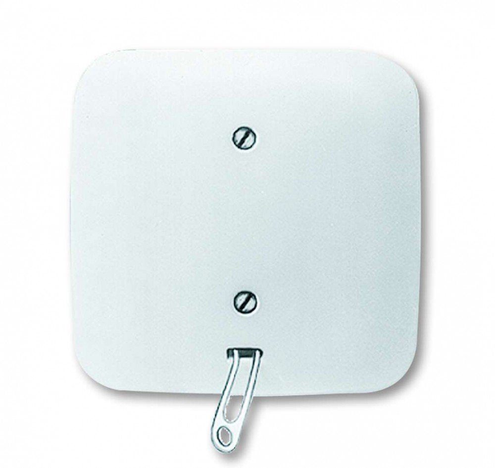 Busch-Jaeger 2610/6UJ-214 Pull Switch Off and Change-Over Switch Alpine White