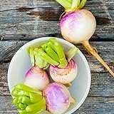 Purple Top Turnip Seeds | Vegetable Seeds for