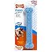 Nylabone Puppy Giant Chicken Flavored Dental Dog Chew Toy, Blue