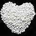 Wayber Decorative Stones, 1 Lb/455g White Stones Rock Crystal Sands for Bonsai Succulent Plants Ornament/Bottom Decoration/Aquarium Turtle Tank Landscape (Fills 1&1/4 Cups)