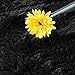 ACTCUT Super Soft Indoor Modern Shag Area Rugs Fluffy Beding Room Shaggy Carpets Dining Living Room Nursery Rug 4' x 5', Black