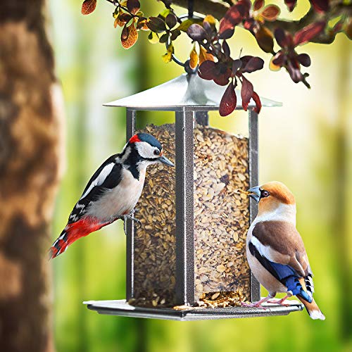 Pauls Mühle Wildvogelfutter Deluxe 10 kg – Bild 7