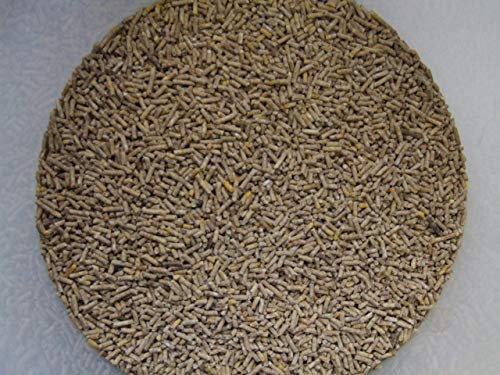 Schkade Landhandel GmbH Junghennenfutter mit Schutz vor Kokzidiose, Alleinfuttermittel ab der 13. Lebenswoche, 2 mm pelletiert, 25 kg – Bild 5