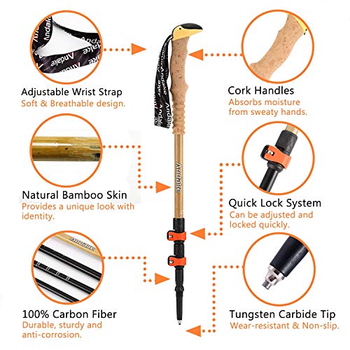 Andake Trekking Poles, Shock-Absorbent, Carbon Fiber Hiking, Walking & Running Sticks with High elasticity EVA Grips, Quick Locks, Lightweight and Collapsible with All Terrain Accessories & Car (2 PC)