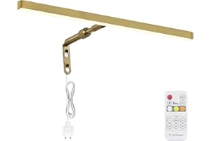 Pasoar Brass Picture Lights for Paintings Plug in, 16" 4W Adjustable LED Gold Art Light, Remote Control Gallery Painting Wall