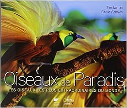 Amazonfr Oiseaux De Paradis Les Oiseaux Les Plus