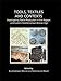 Tools, Textiles and Contexts: Textile Production in the Aegean and Eastern Mediterranean Bronze Age (Ancient Textiles) by