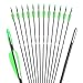 ANTSIR 30 Fiberglass Archery Target Arrows- Practice Arrows for Kids Youth or Begineers on Recurve Bow Long Bow Traditional Bow (Green Vanes Pack of 12)