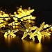 Original Starfish Solar String Lights, 20ft 30 LED Fairy Halloween Christmas Lights Decorative Lighting for Indoor/Outdoor, Garden, Home, Patio, Lawn, Party and Holiday Decorations(Warm White)