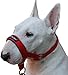 Dog Head Collar Halter Red 6 Sizes (S: 6.5