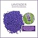 (3 Pack) 450g Hard Wax Beans, Brazilian Bikini Pearl Wax, Hot Wax Beads Hair Removal for Face, Body, Eyebrow, Nose, Leg - Depilatory Painless European Facial Wax for Women Men, All Lavender Flavor