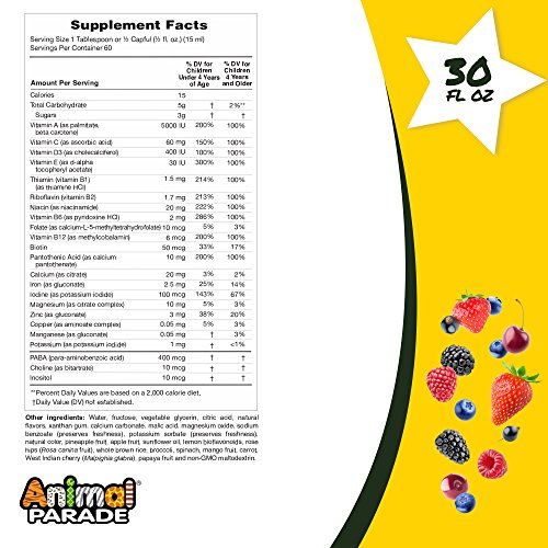 image for Nature's Plus Natures Plus Animal Parade Source of Life Childrens Liqu