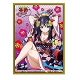 High School DxD BorN Akeno Himejima Card Game Character Sleeve Collection Mat Series No.MT212 Anime Girl Japan Import by Movic