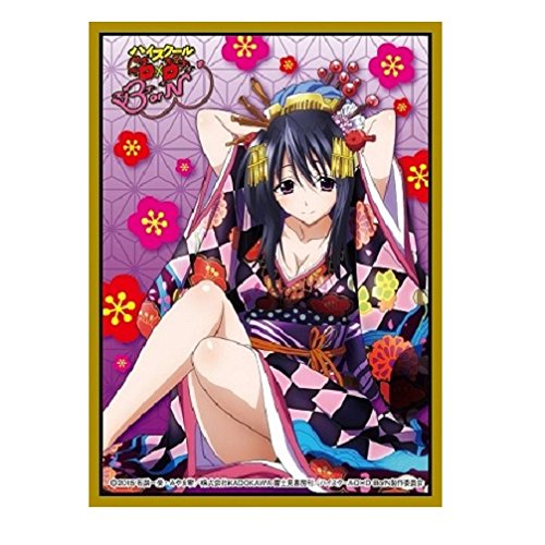 High School DxD BorN Akeno Himejima Card Game Character Sleeve Collection Mat Series No.MT212 Anime Girl Japan Import by Movic