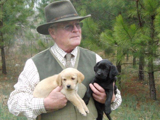 Retriever Training for the Duck Hunter by Robert Milner