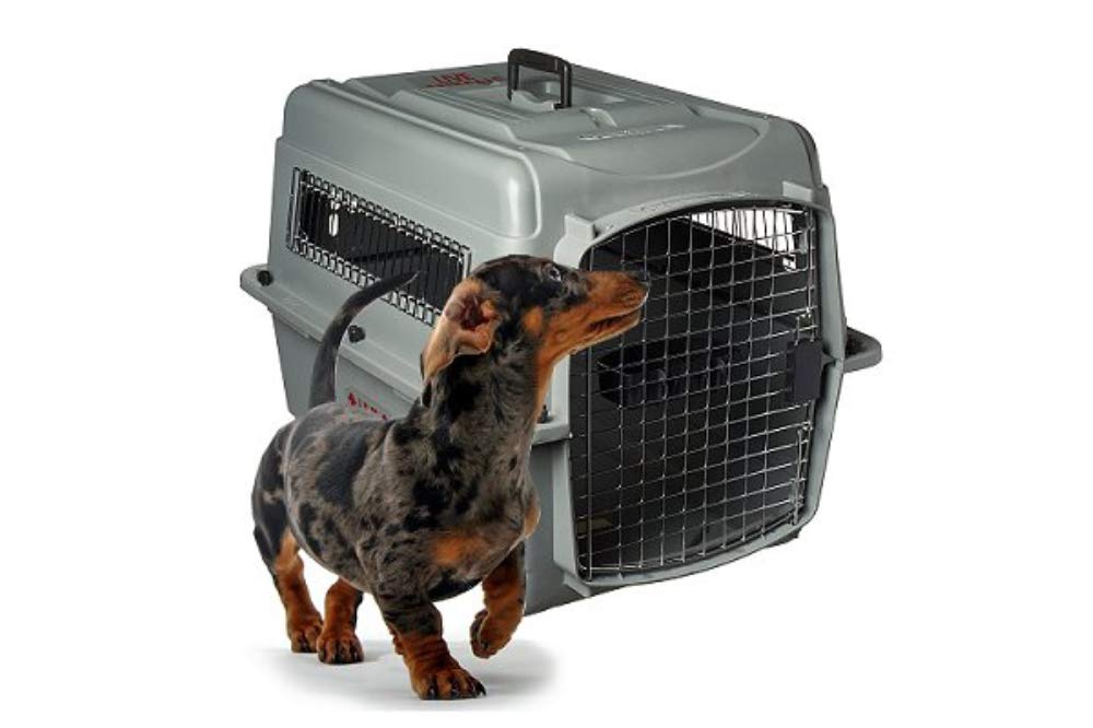 Petmate Sky Kennel Portable Dog Crate Travel Items Included 6 Sizes
