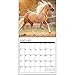 American Quarter Horses 2017 Wall Calendar