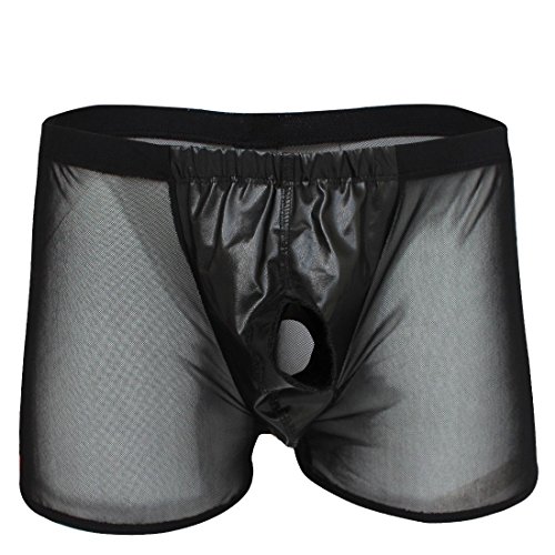 FEESHOW Men's Open Sheath Front Hole Mesh Boxers Briefs Underwear