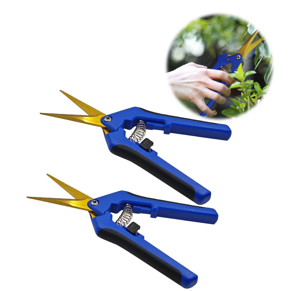 HAISHANG 2Pcs Professional Garden Scissors, Straight Tip Gardening Pruning Secateurs with Titanium Coated Blades, Flower Pruning Shears, Trimming Scissors for Florist Plants Vegetables Fruits Rose
