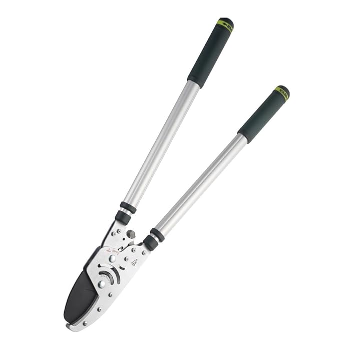 Spear & Jackson Kew Collection Heavy Duty Telescopic Ratchet Anvil