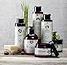 Organic 100% Vegan Shampoo, Conditioner & Shower Gel Body Wash Set by ecoLove (3 x 17.6 oz.) | blueberry, grape & lavender For colored and very dry hair