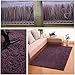 Noahas Fluffy Bedroom Rug Plush Fuzzy Rugs for Kids Room Living Room, Soft Shaggy Nursery Rug Furry Floor Carpet Modern Indoor Bedroom Decor Cute Boys Girls Room Rug, 4x5.3 Feet, Taro Purple
