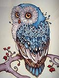 Sqailer 5D DIY Diamond Painting Full Square Drill Owl Rhinestone Embroidery for Wall Decoration 12X16 inches