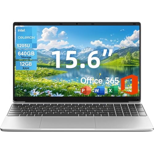 Windows 11 Laptop 12GB RAM 640GB Storage