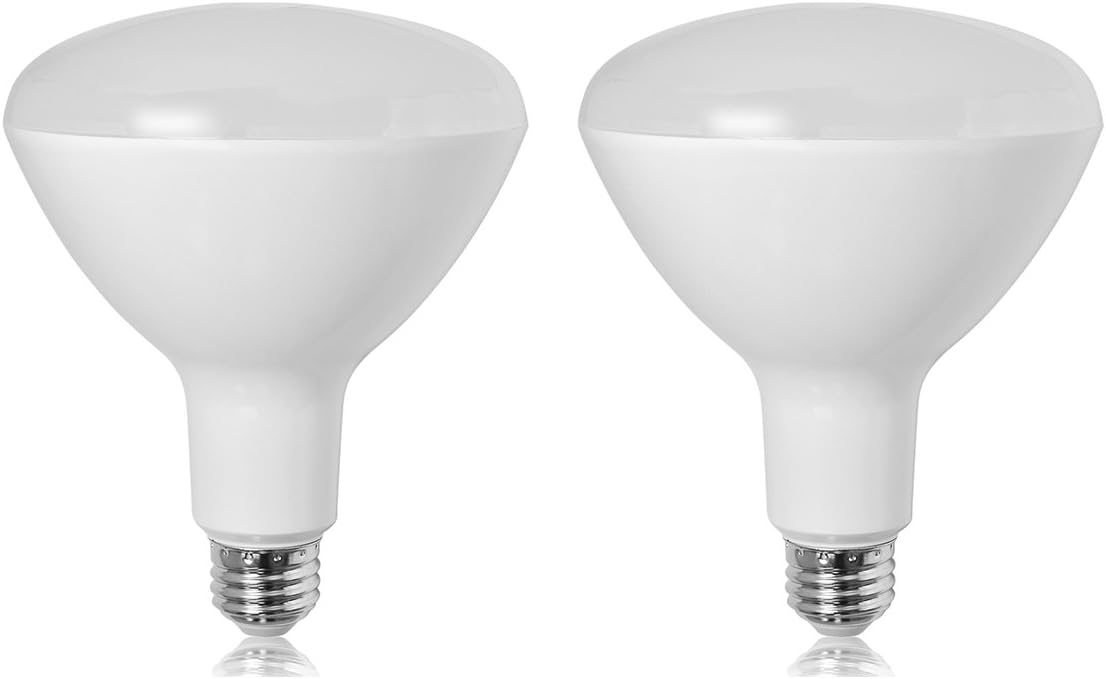 2er Pack BR40 LED Flutlicht Leuchtmittel, 15 W (entspricht 120 W