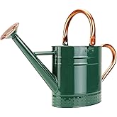 Megawodar 1 Gallon Metal Watering Can with Removable Spout, Nice Galvanized Steel Water Can with Embossed Design for Indoor and Outdoor Plants