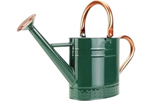 Megawodar 1 Gallon Metal Watering Can with Removable Spout, Nice Galvanized Steel Water Can with Embossed Design for Indoor and Outdoor Plants