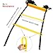 Physport Speed Ladder Soccer Training Agility Ladder with Carry Case Sport Tool (12-Rung)