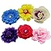 Barrettes for Girls - Flower Hair Clips for Women - 15 Pk Assorted Hair Accessory by CoverYourHair