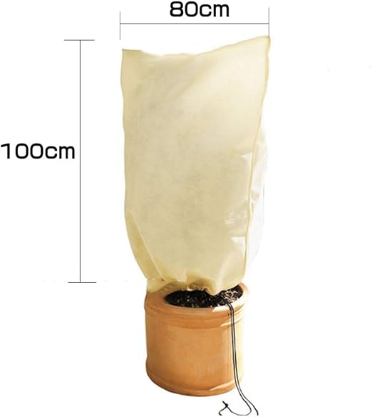 Inicio Planta de Invierno Protección contra Las Heladas Cubierta ...