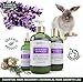 BOTANICAL HAIR GROWTH LAB - Volume Conditioner - Lavender Cypress - Essential Hair Recovery - Sensitive Scalp/Rejuvenating - For Hair Thinning Prevention Alopecia Postpartum DHT Blocker - 10.2 Oz