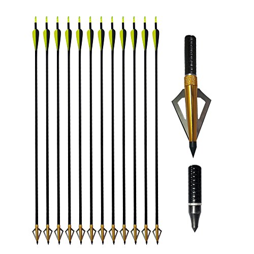 Boshen 32" Archery Fiberglass Arrows Hunting Targeting Practice Arrows+3 Blade Broadheads for Recurve or Compound Bow-12 Pack