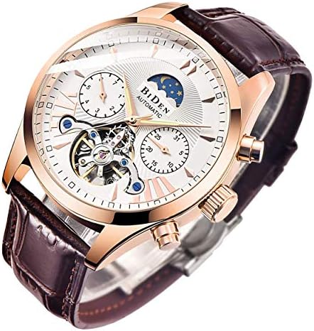 Bestn Mens Luxury Automatic Mechanical Wrist Watches Stainless Steel Moon Phrase Luminous Hands Skeleton Self-Wind Watch