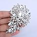 EVER FAITH Women's Austrian Crystal Wedding Flower Leaf Bouquet Brooch