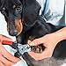 Paws & Pals Dog Nail Clippers - Scissors for Large or Small Dogs and Cats Stainless Steel Trim Blades with Safety Guard - Large